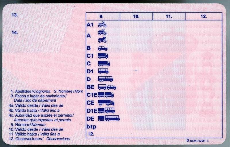 Códigos numéricos en el carnet de conducir, ¿qué significan?